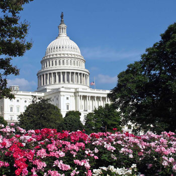 Capitol Building